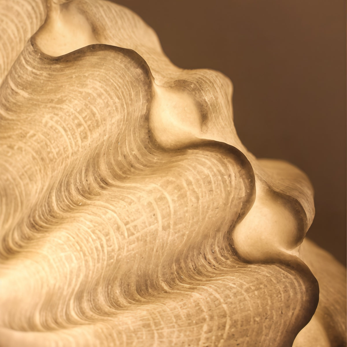 French-Style Vintage-Inspired Seashell and Conch Table Lamp Nautical-Themed Decorative Ornament